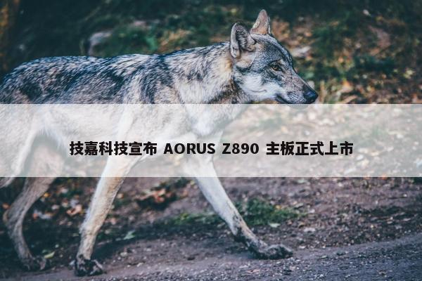 技嘉科技宣布 AORUS Z890 主板正式上市