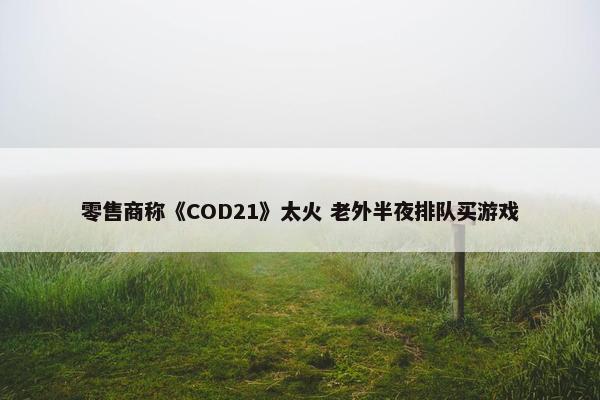 零售商称《COD21》太火 老外半夜排队买游戏