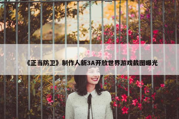 《正当防卫》制作人新3A开放世界游戏截图曝光