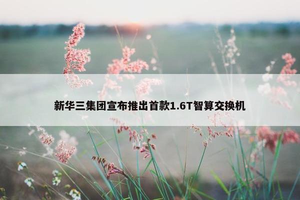 新华三集团宣布推出首款1.6T智算交换机