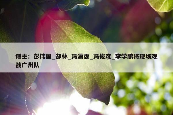 博主：彭伟国_郜林_冯潇霆_冯俊彦_李学鹏将现场观战广州队