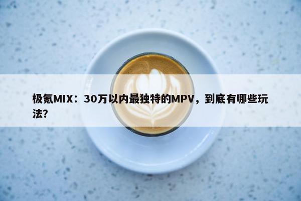 极氪MIX：30万以内最独特的MPV，到底有哪些玩法？