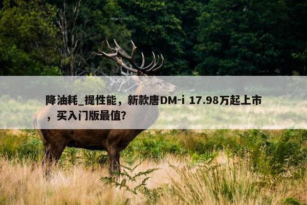 降油耗_提性能，新款唐DM-i 17.98万起上市，买入门版最值？