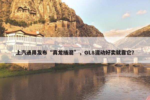 上汽通用发布“真龙插混”，GL8混动好卖就靠它？