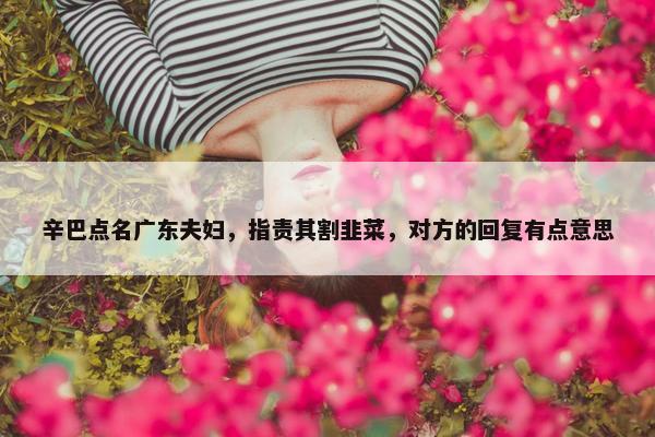 辛巴点名广东夫妇，指责其割韭菜，对方的回复有点意思