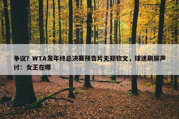 争议？WTA发年终总决赛预告片无郑钦文，球迷刷屏声讨：女王在哪