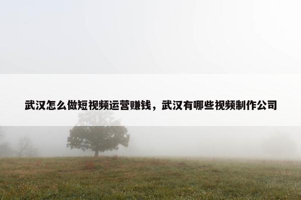 武汉怎么做短视频运营赚钱，武汉有哪些视频制作公司