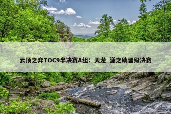 云顶之弈TOC9半决赛A组：天龙_潇之助晋级决赛