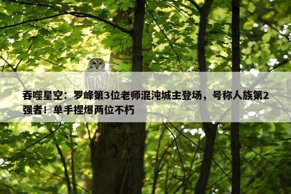 吞噬星空：罗峰第3位老师混沌城主登场，号称人族第2强者！单手捏爆两位不朽