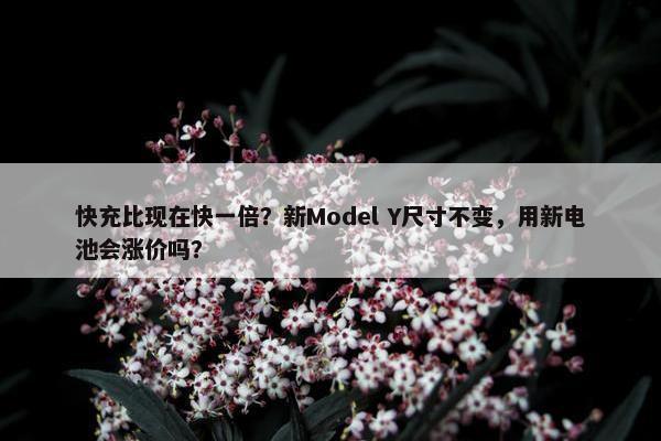 快充比现在快一倍？新Model Y尺寸不变，用新电池会涨价吗？