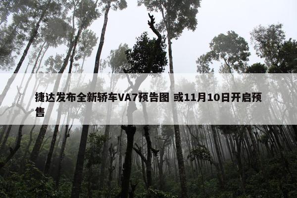 捷达发布全新轿车VA7预告图 或11月10日开启预售