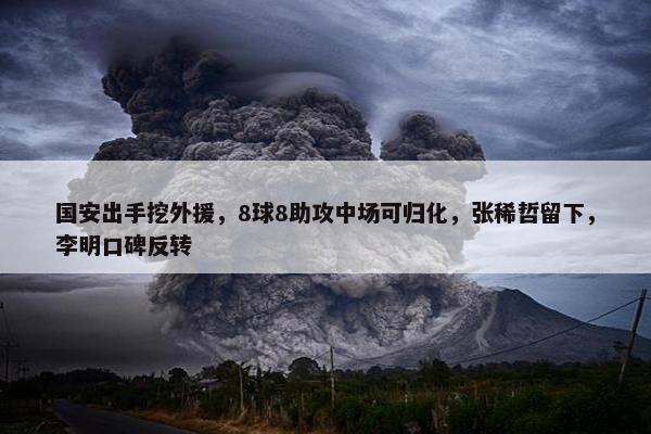 国安出手挖外援，8球8助攻中场可归化，张稀哲留下，李明口碑反转