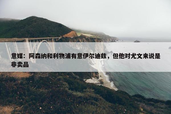 意媒：阿森纳和利物浦有意伊尔迪兹，但他对尤文来说是非卖品