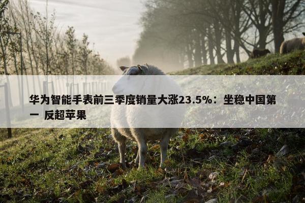 华为智能手表前三季度销量大涨23.5%：坐稳中国第一 反超苹果