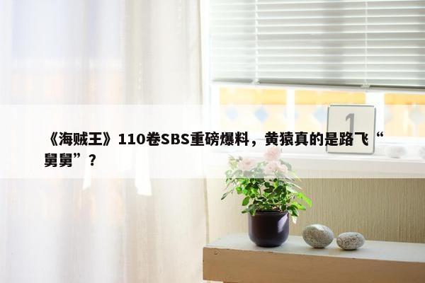 《海贼王》110卷SBS重磅爆料，黄猿真的是路飞“舅舅”？