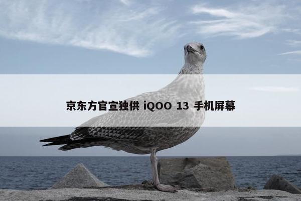 京东方官宣独供 iQOO 13 手机屏幕