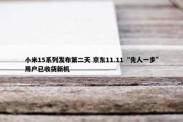 小米15系列发布第二天 京东11.11“先人一步”用户已收货新机