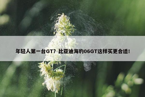 年轻人第一台GT？比亚迪海豹06GT这样买更合适！