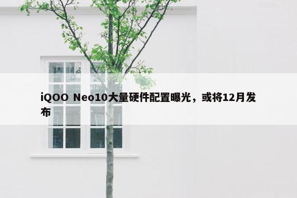 iQOO Neo10大量硬件配置曝光，或将12月发布