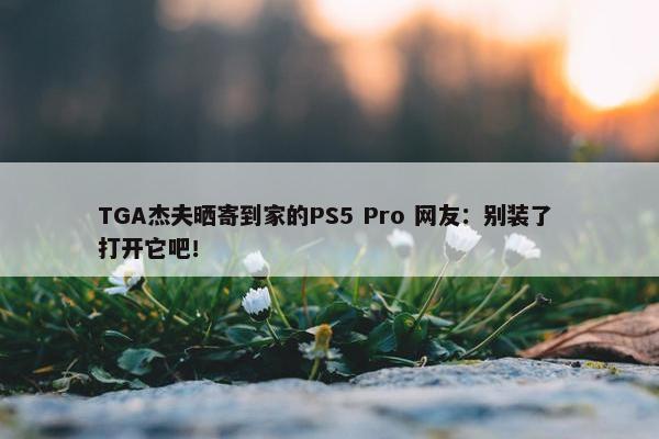 TGA杰夫晒寄到家的PS5 Pro 网友：别装了 打开它吧！