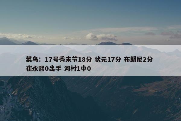 菜鸟：17号秀末节18分 状元17分 布朗尼2分 崔永熙0出手 河村1中0