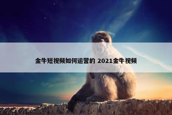 金牛短视频如何运营的 2021金牛视频