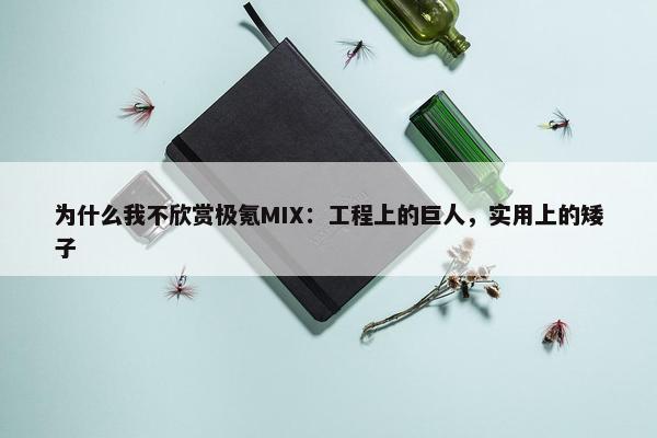 为什么我不欣赏极氪MIX：工程上的巨人，实用上的矮子