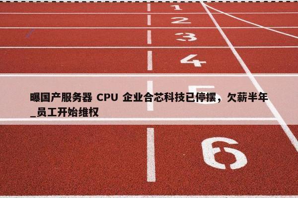 曝国产服务器 CPU 企业合芯科技已停摆，欠薪半年_员工开始维权