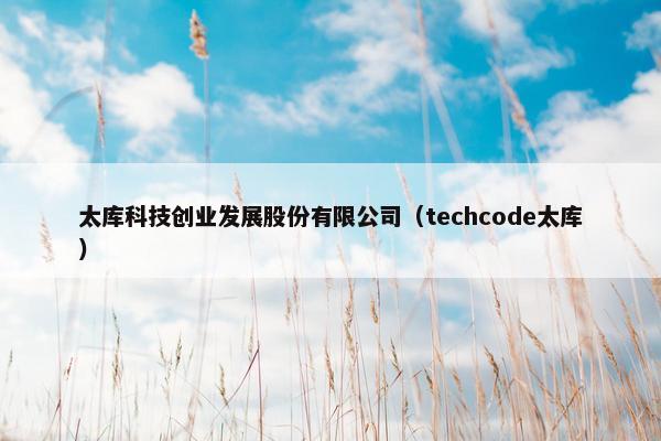 太库科技创业发展股份有限公司（techcode太库）