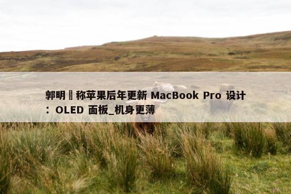 郭明錤称苹果后年更新 MacBook Pro 设计：OLED 面板_机身更薄