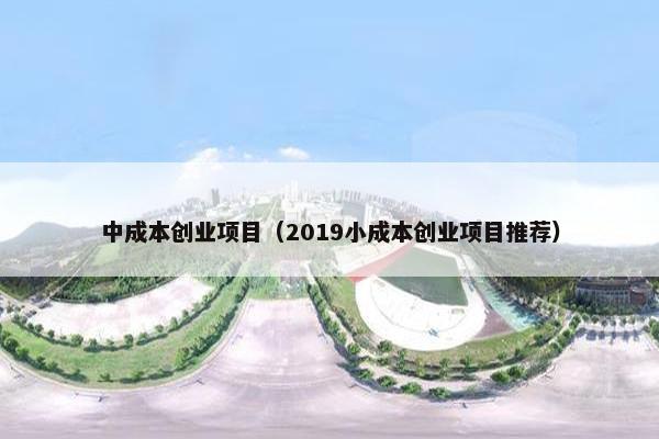 中成本创业项目（2019小成本创业项目推荐）