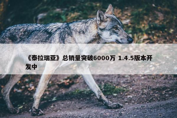 《泰拉瑞亚》总销量突破6000万 1.4.5版本开发中