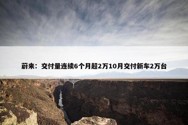 蔚来：交付量连续6个月超2万10月交付新车2万台