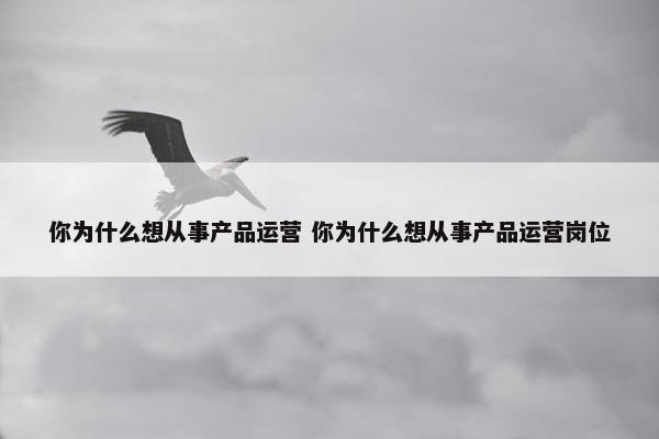 你为什么想从事产品运营 你为什么想从事产品运营岗位