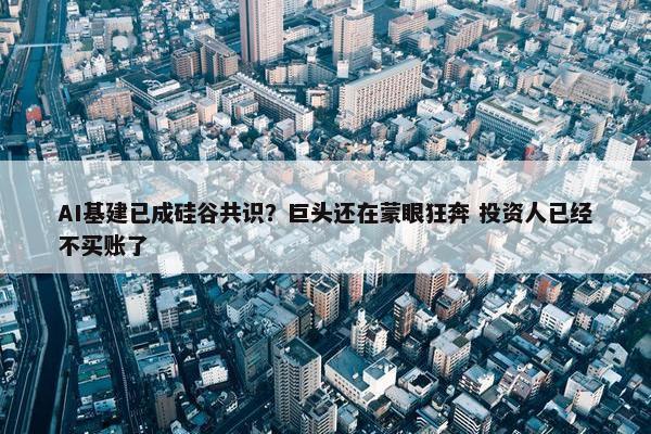 AI基建已成硅谷共识？巨头还在蒙眼狂奔 投资人已经不买账了