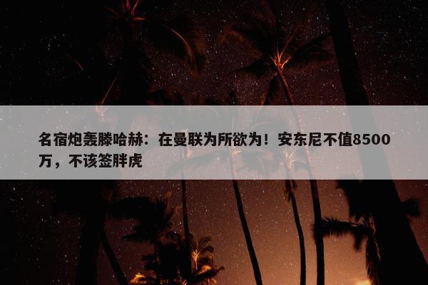 名宿炮轰滕哈赫：在曼联为所欲为！安东尼不值8500万，不该签胖虎