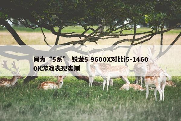 同为“5系” 锐龙5 9600X对比i5-14600K游戏表现实测