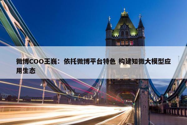 微博COO王巍：依托微博平台特色 构建知微大模型应用生态