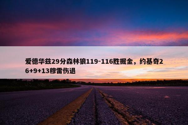 爱德华兹29分森林狼119-116胜掘金，约基奇26+9+13穆雷伤退