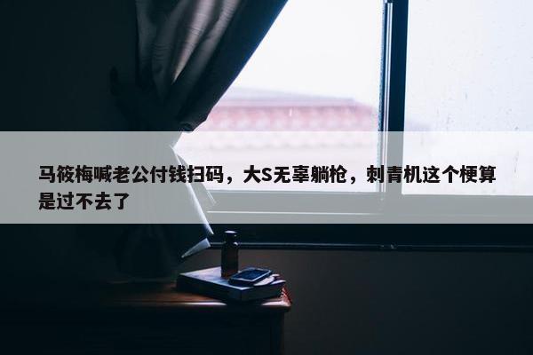 马筱梅喊老公付钱扫码，大S无辜躺枪，刺青机这个梗算是过不去了