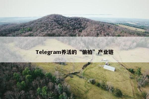 Telegram养活的“偷拍”产业链