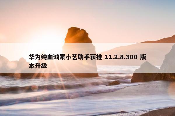 华为纯血鸿蒙小艺助手获推 11.2.8.300 版本升级