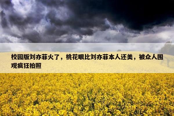 校园版刘亦菲火了，桃花眼比刘亦菲本人还美，被众人围观疯狂拍照