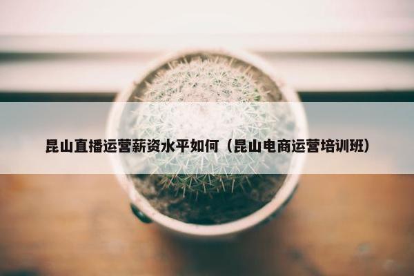 昆山直播运营薪资水平如何（昆山电商运营培训班）