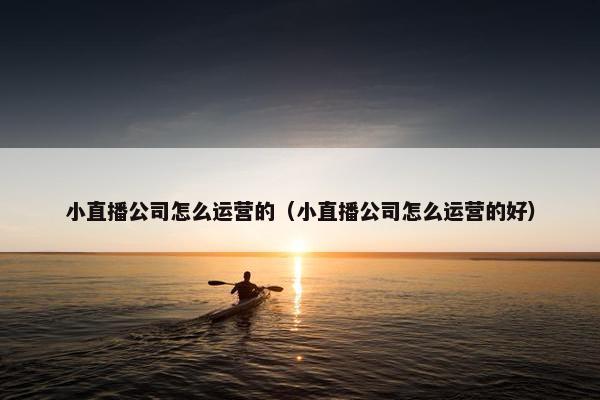 小直播公司怎么运营的（小直播公司怎么运营的好）