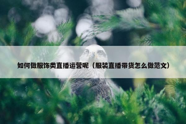 如何做服饰类直播运营呢（服装直播带货怎么做范文）