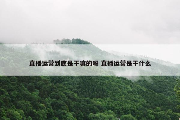 直播运营到底是干嘛的呀 直播运营是干什么