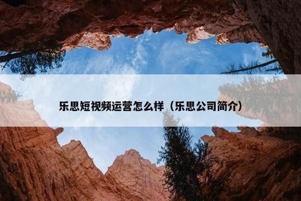 乐思短视频运营怎么样（乐思公司简介）