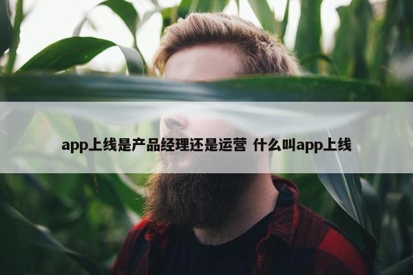 app上线是产品经理还是运营 什么叫app上线