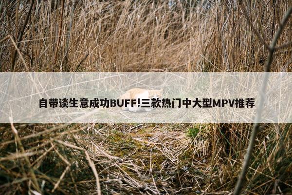 自带谈生意成功BUFF!三款热门中大型MPV推荐